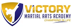 Victory Martial Arts McDonough kids program